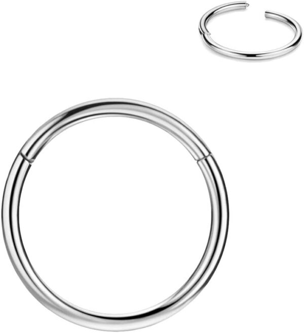 FANSING Men Women 316L Surgical Steel Hinged Nose Rings Hoop for Nostril Septum Cartilage Helix Daith Tragus Rook Conch Lip Ear Lobe Piercings - Image 2