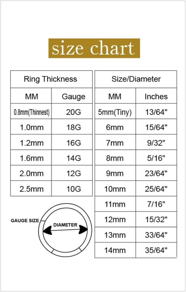 Hypoallergenic Nose Rings 20G 18G 16G 14G 12G 10G 8G 316l Surgical Steel Septum Jewelry Hinged Segment Ring Body Piercing Nose Hoop Lip Rings Nose Helix Cartilage Rook Earrings - Image 7