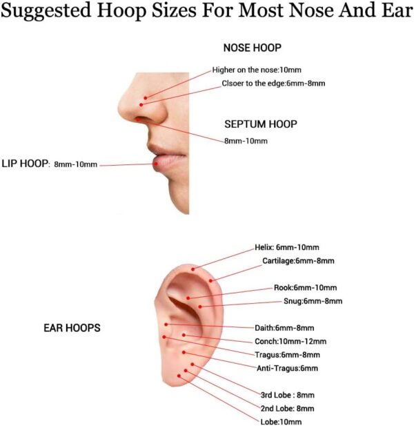 4Pairs/Pcs 18G Surgical Steel Hinged Clicker Segment Nose Rings Hoop Helix Cartilage Daith Tragus Sleeper Earrings Body Piercing for Women Men 6mm 8mm 10mm 12mm - Image 4