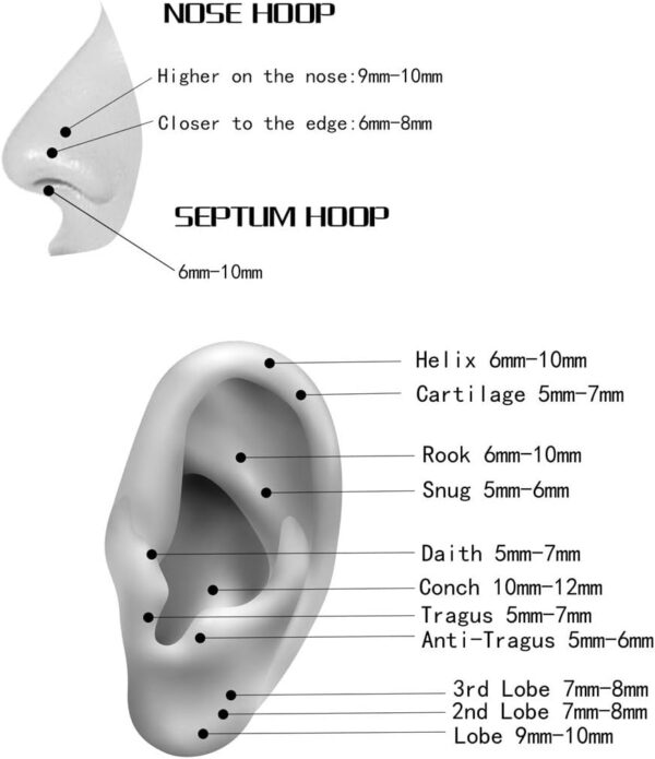 Hypoallergenic Nose Rings 20G 18G 16G 14G 12G 10G 8G 316l Surgical Steel Septum Jewelry Hinged Segment Ring Body Piercing Nose Hoop Lip Rings Nose Helix Cartilage Rook Earrings - Image 6