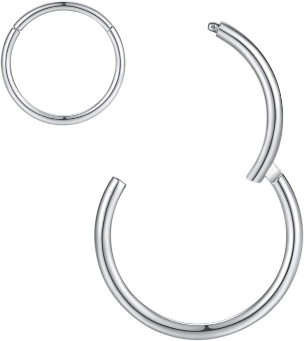 Hypoallergenic Nose Rings 20G 18G 16G 14G 12G 10G 8G 316l Surgical Steel Septum Jewelry Hinged Segment Ring Body Piercing Nose Hoop Lip Rings Nose Helix Cartilage Rook Earrings - Image 2