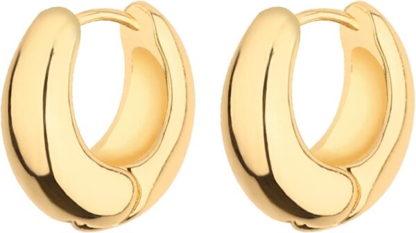 Wgoud Chunky Hoop Earrings Set 14K Gold Hoop Earrings for Women Hypoallergenic, Thick Hoops Earring set, Twist Huggie Hoop Earring - Image 7